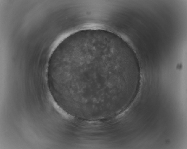 X0000111231421200907021348