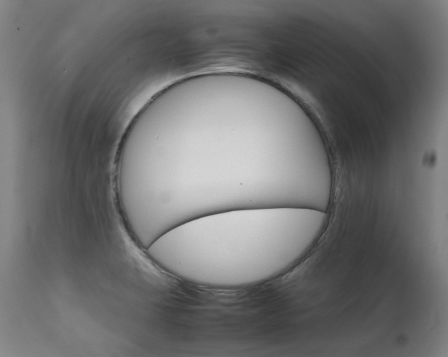 X0000111231423200907021348