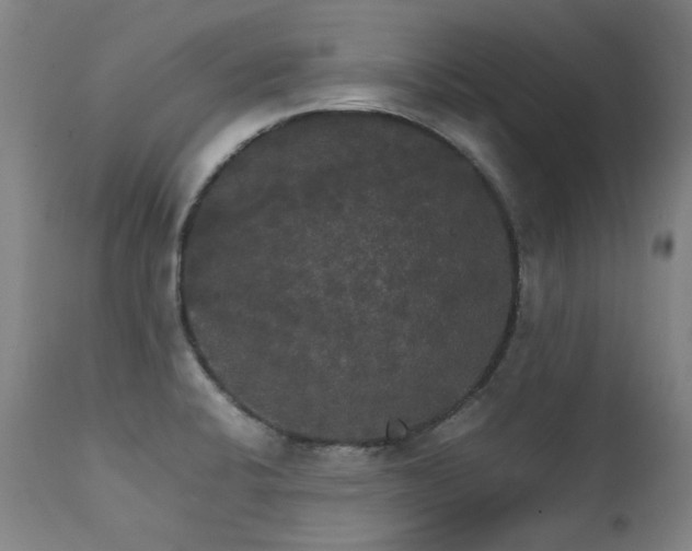 X0000111231424200907021348