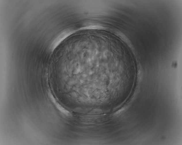 X0000111231425200907021348