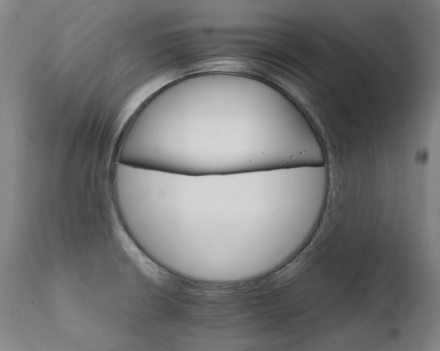 X0000111231426200907021348