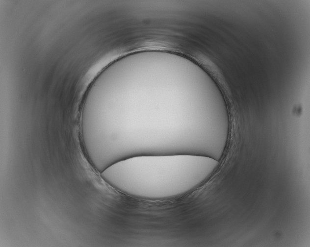 X0000111231427200907021348