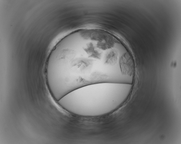 X0000111231429200907021348