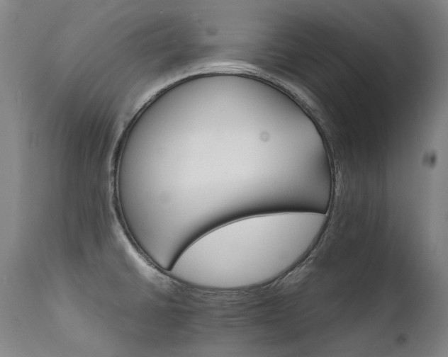 X0000111231430200907021348