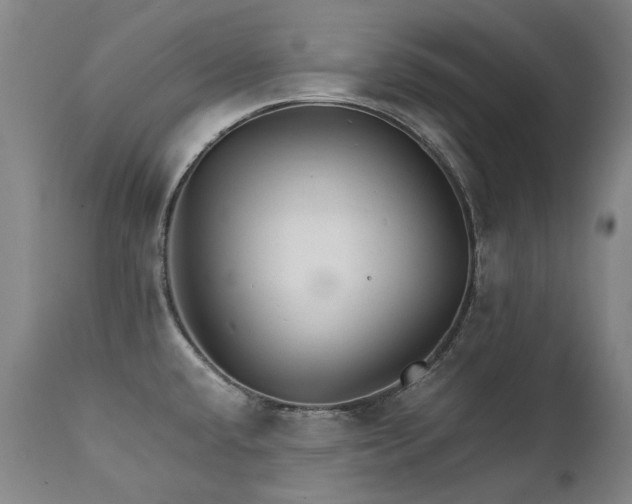X0000111231432200907021348