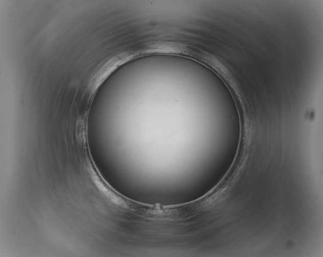 X0000111231433200907021348