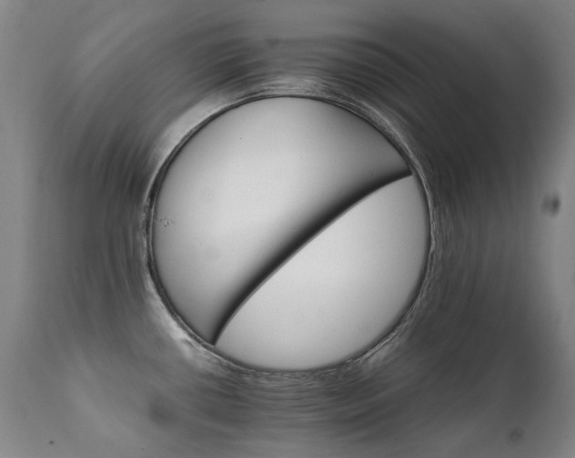 X0000111231434200907021348
