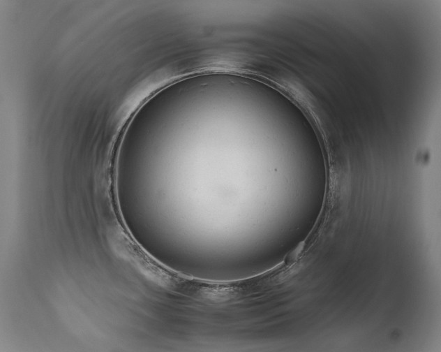 X0000111231435200907021348