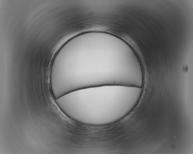 X0000111231436200907021348