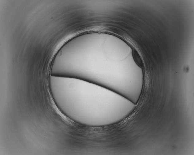 X0000111231437200907021348