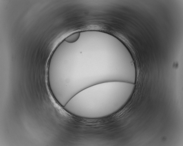 X0000111231439200907021348