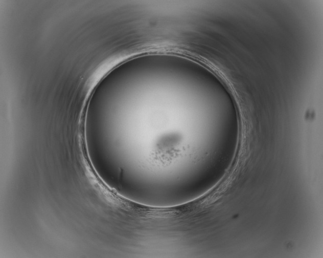 X0000111231440200907021348