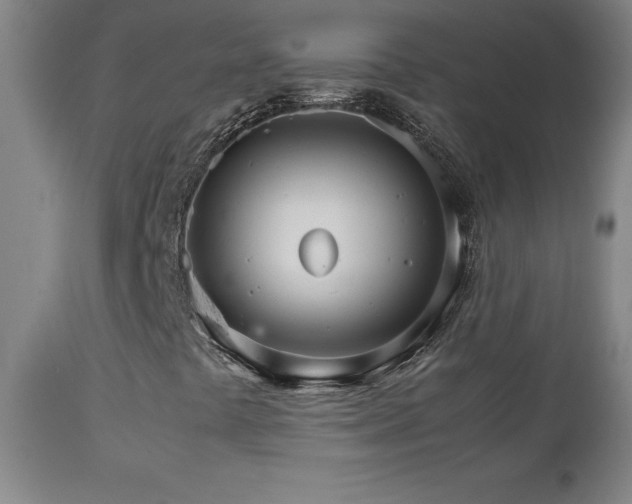 X0000111231441200907021348