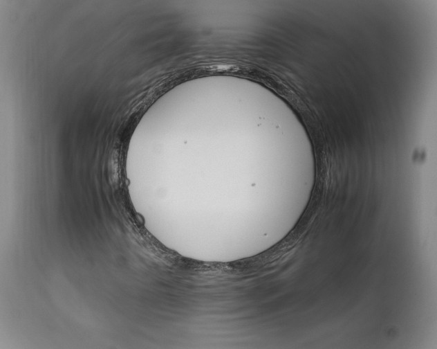 X0000111231442200907021348