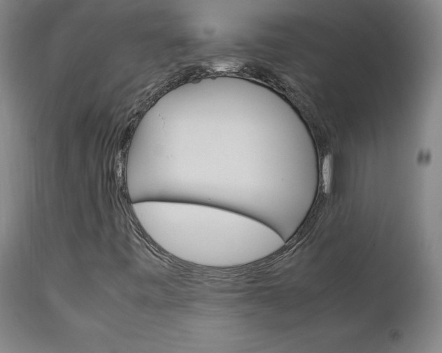X0000111231443200907021348