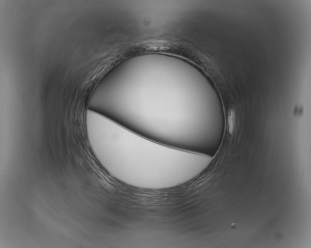 X0000111231444200907021348