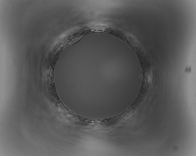 X0000111231445200907021348