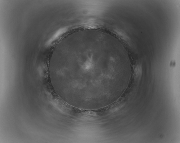 X0000111231446200907021348