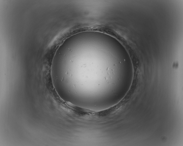 X0000111231447200907021348