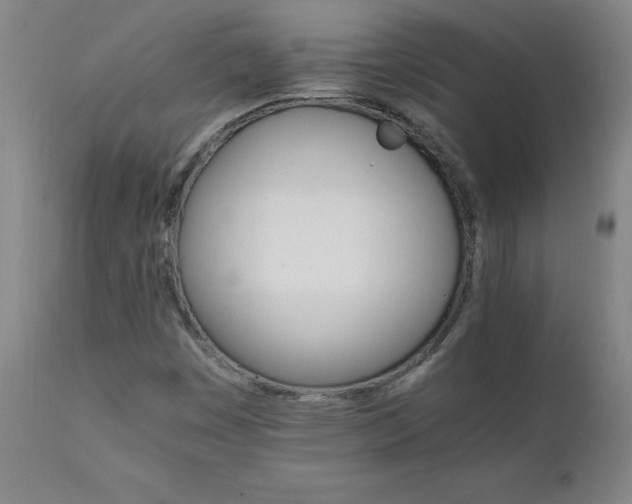 X0000111231449200907021347