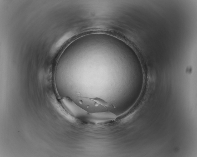 X0000111231450200907021347
