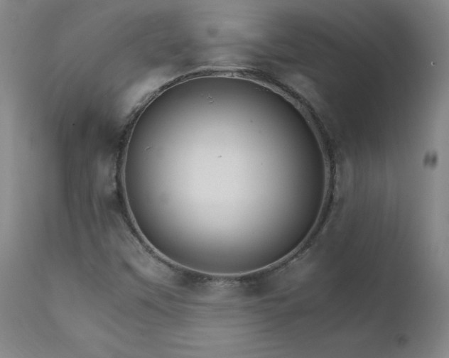 X0000111231451200907021347