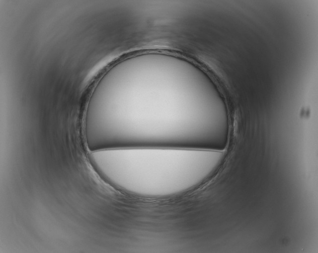 X0000111231452200907021347