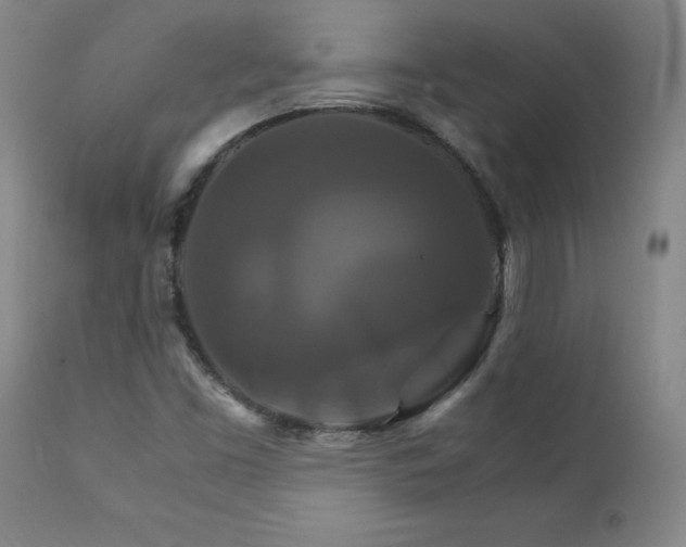 X0000111231453200907021347