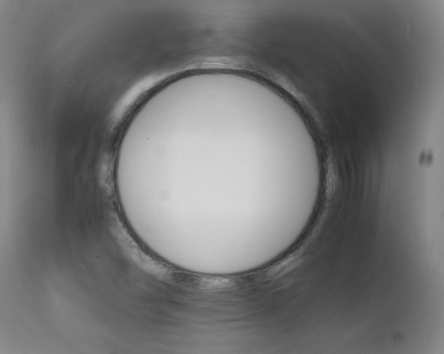 X0000111231454200907021347