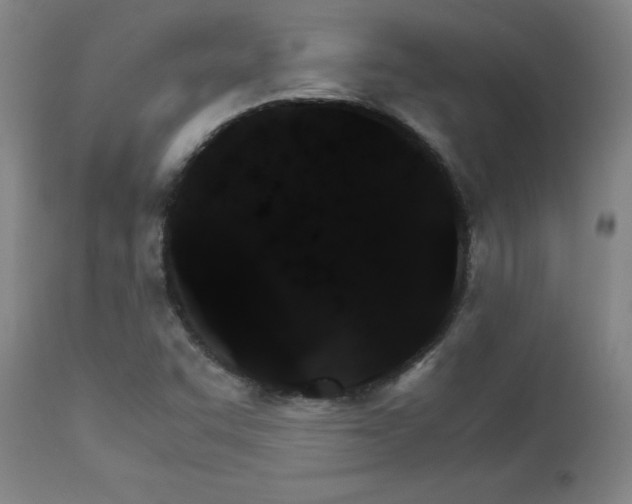 X0000111231455200907021347
