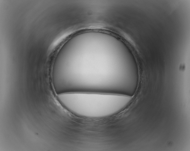 X0000111231456200907021347