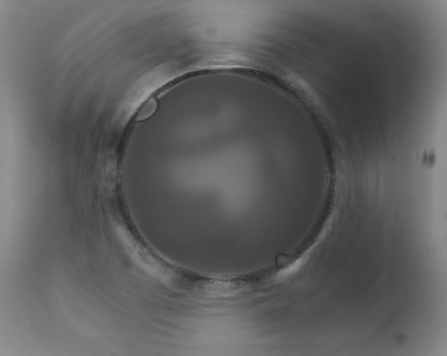 X0000111231457200907021347