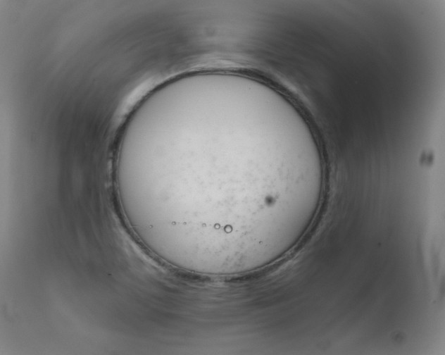 X0000111231459200907021347