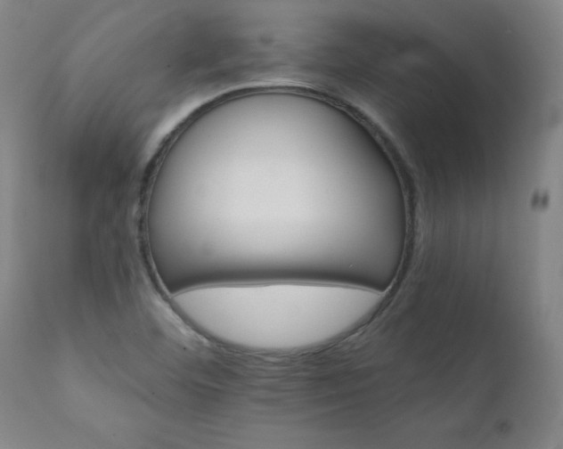X0000111231460200907021347