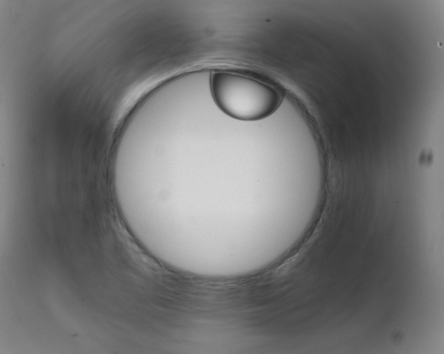 X0000111231461200907021347