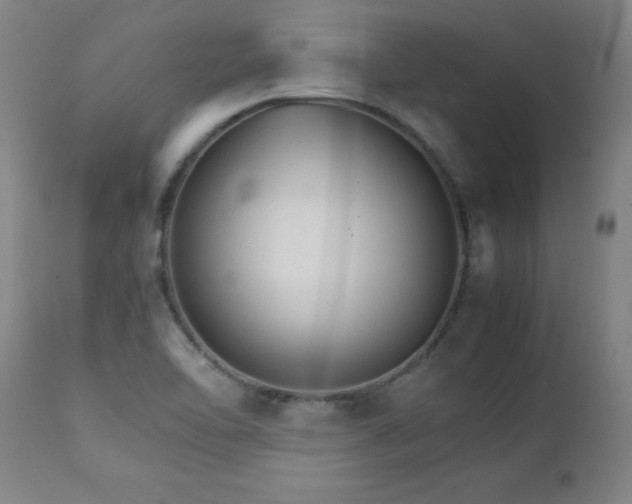 X0000111231462200907021347