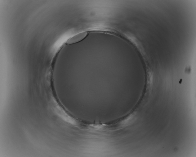 X0000111231463200907021347