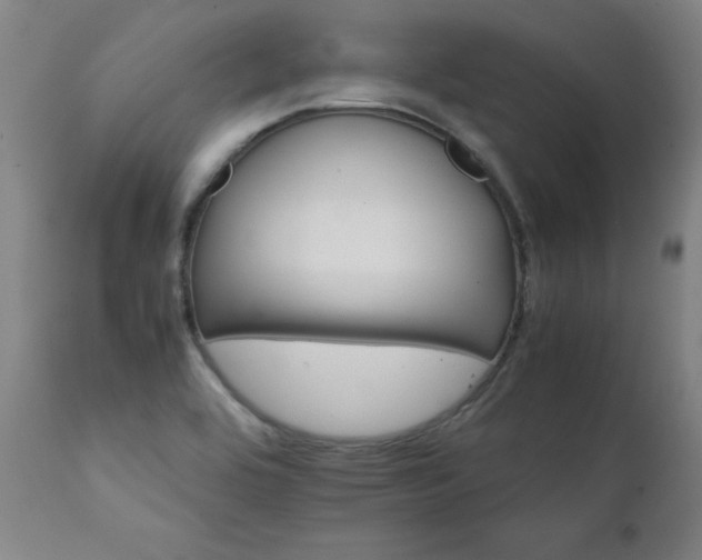 X0000111231464200907021347