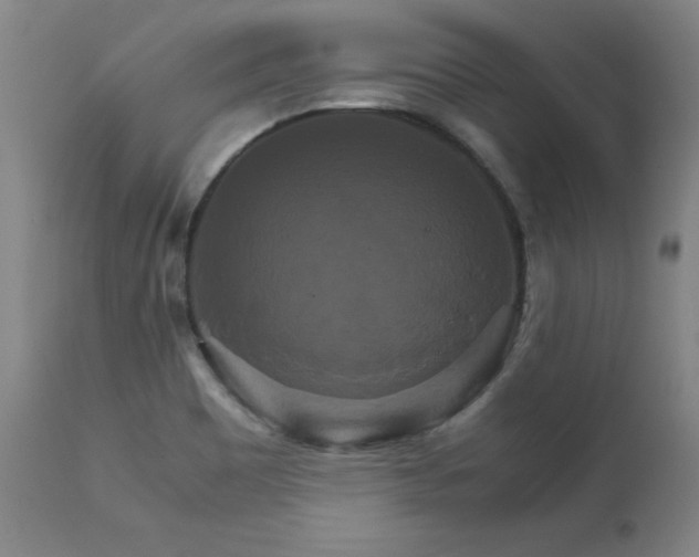 X0000111231465200907021347