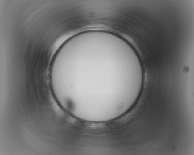 X0000111231466200907021347