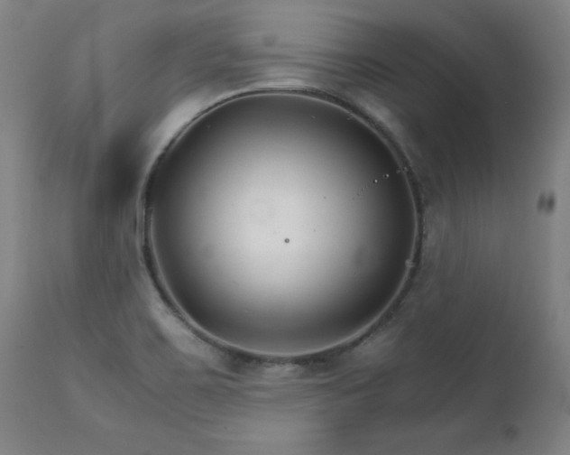 X0000111231467200907021347
