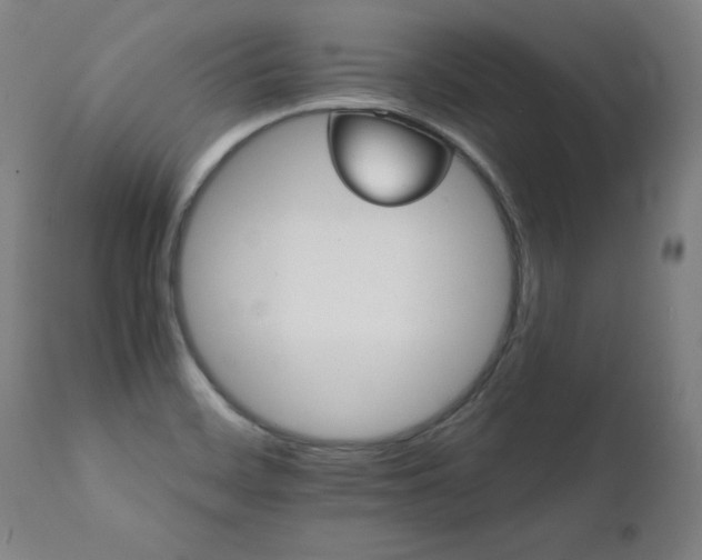 X0000111231468200907021347