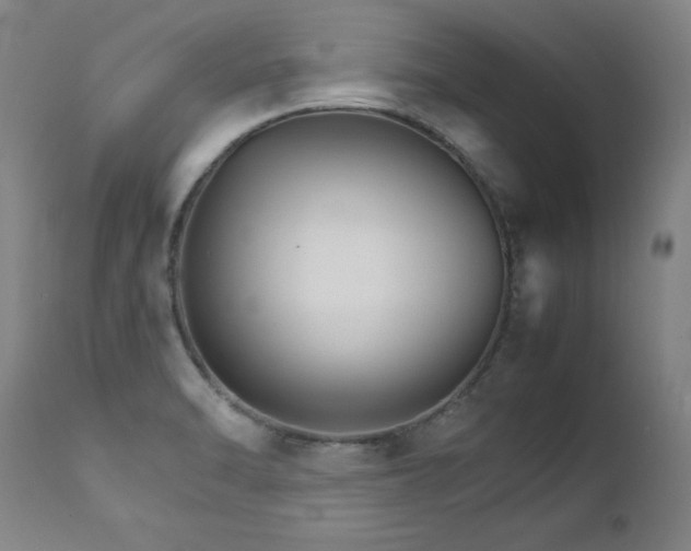 X0000111231470200907021347