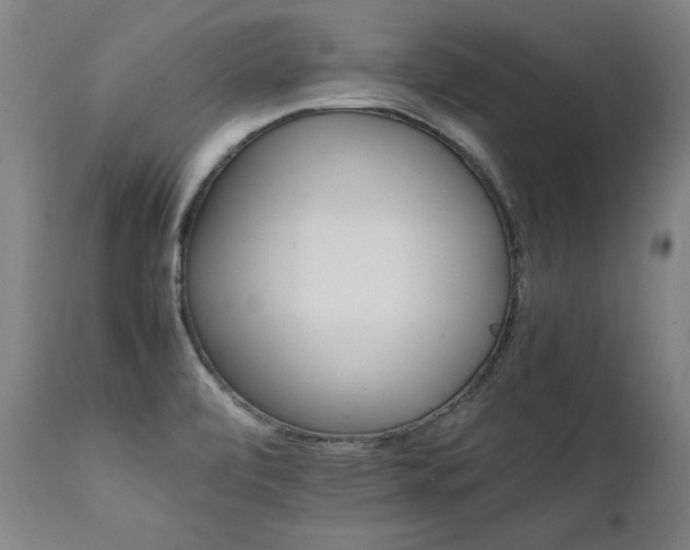 X0000111231472200907021347