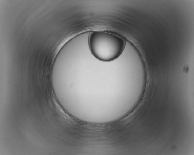 X0000111231473200907021347