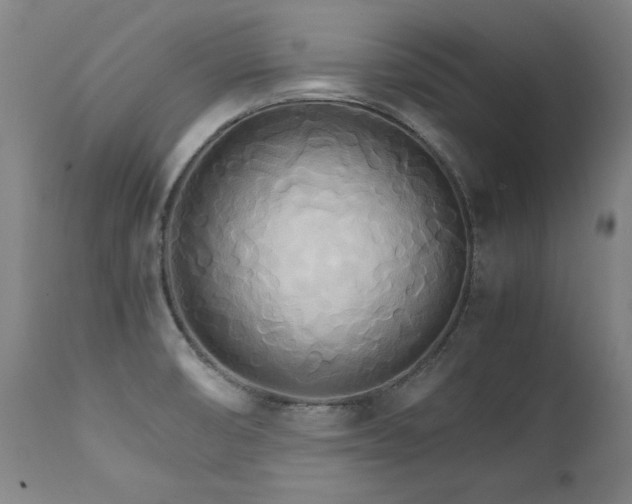 X0000111231474200907021347