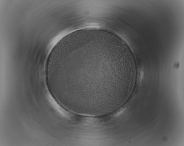 X0000111231475200907021347