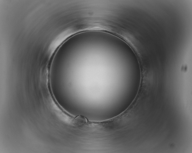 X0000111231476200907021347