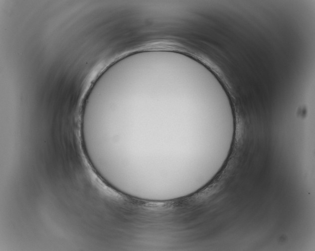 X0000111231478200907021347
