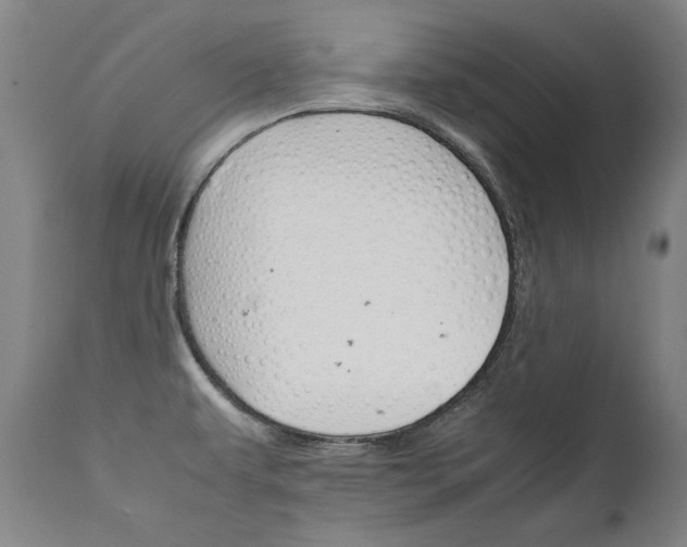 X0000111231479200907021347